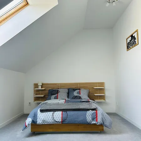 Luxury Strzyzewo Witkowskie