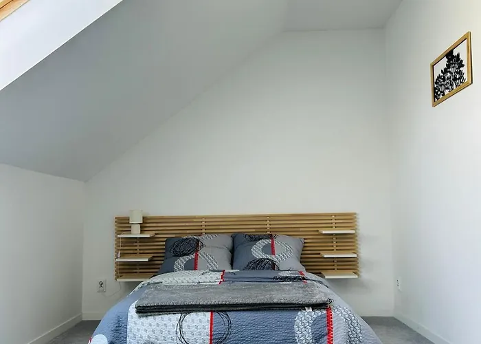 Luxury Strzyzewo Witkowskie